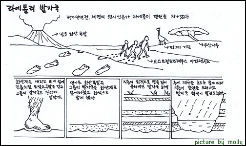 아담과 이브의 발자국이 어떻게 생겼을까? 올두바이 박물관에는 지금은 볼 수 없는 라에톨리 발자국을 본 뜬 것을 볼 수 있다. 